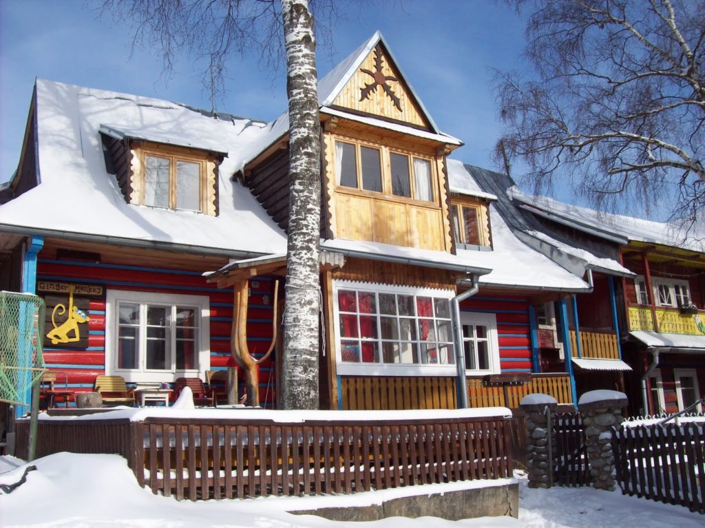 ginger monkey hostel